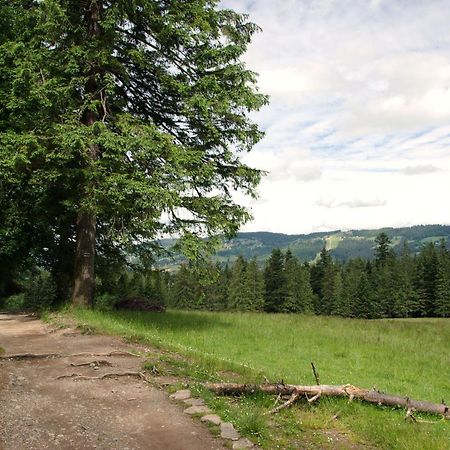 Domek Sekret Закопане Екстериор снимка